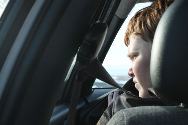 Driver's ed